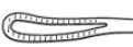 Wilder Lens Loop
